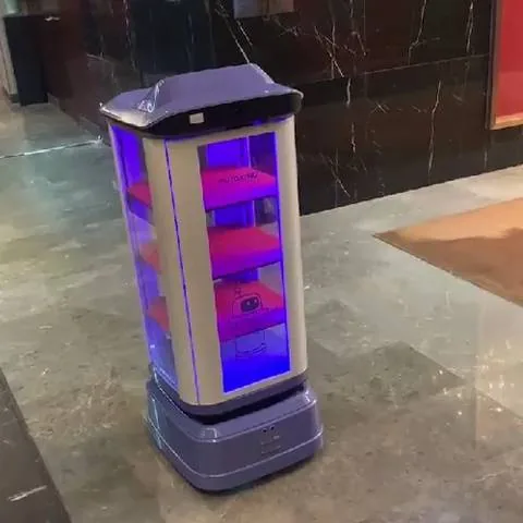 Service delivery robot in a hotel lobby